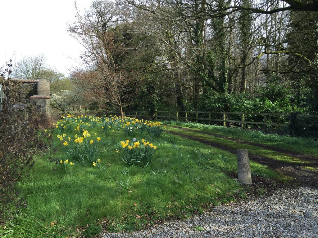 Townley Hall Apartments Slane Quarto foto